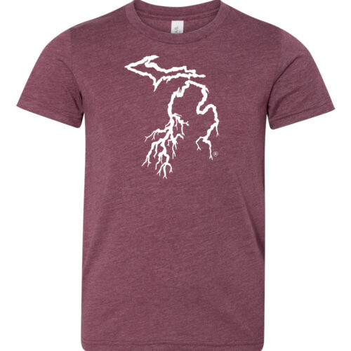 youth apparel, youth michigan tshirt, tshirts for kids, michigan tshirts for kids, my michigan roots clothing