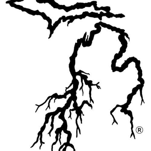 Michigan Roots Decal, mi decal, michigan decals, michigan stickers, mi sticker, my michigan roots