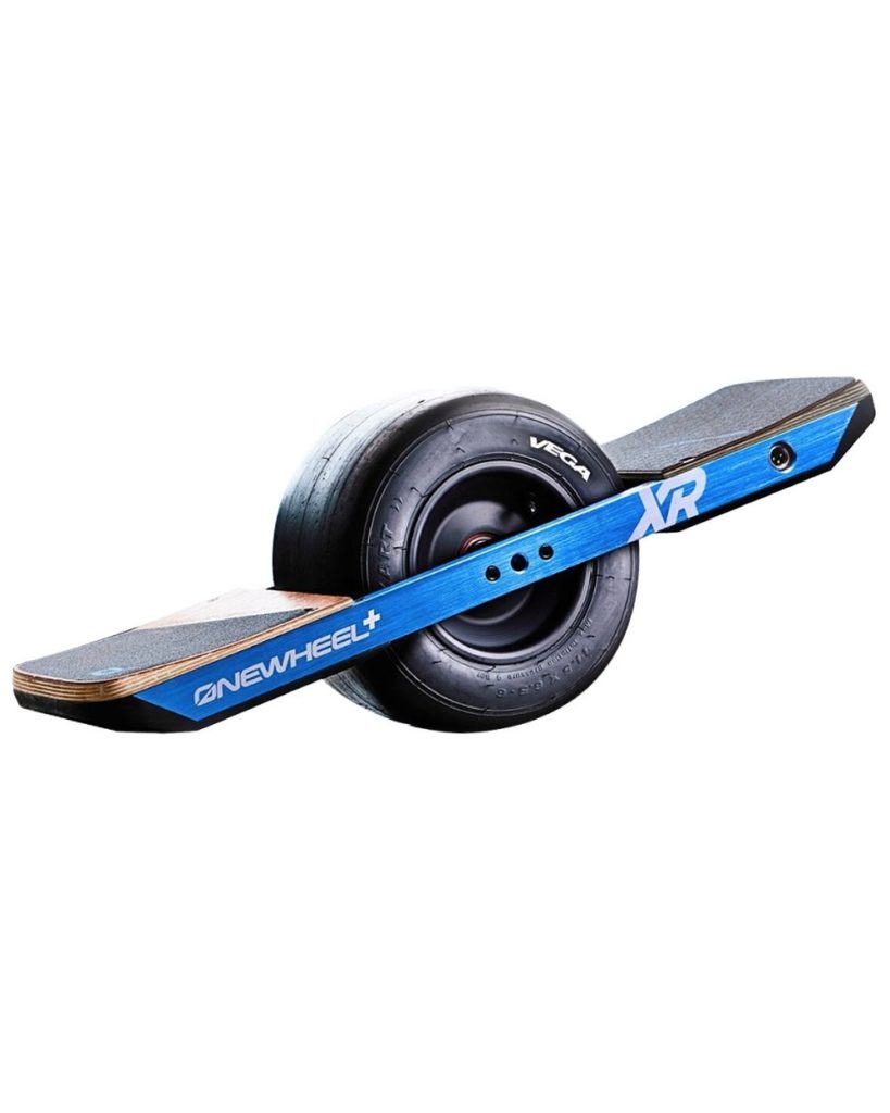 One Wheel Rental (Halfday) My Michigan Roots©